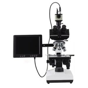 binocular biological microscope